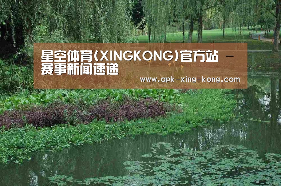 案例展示一(图1)