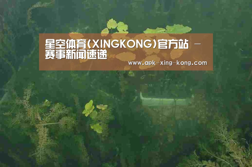 案例展示三(图1)