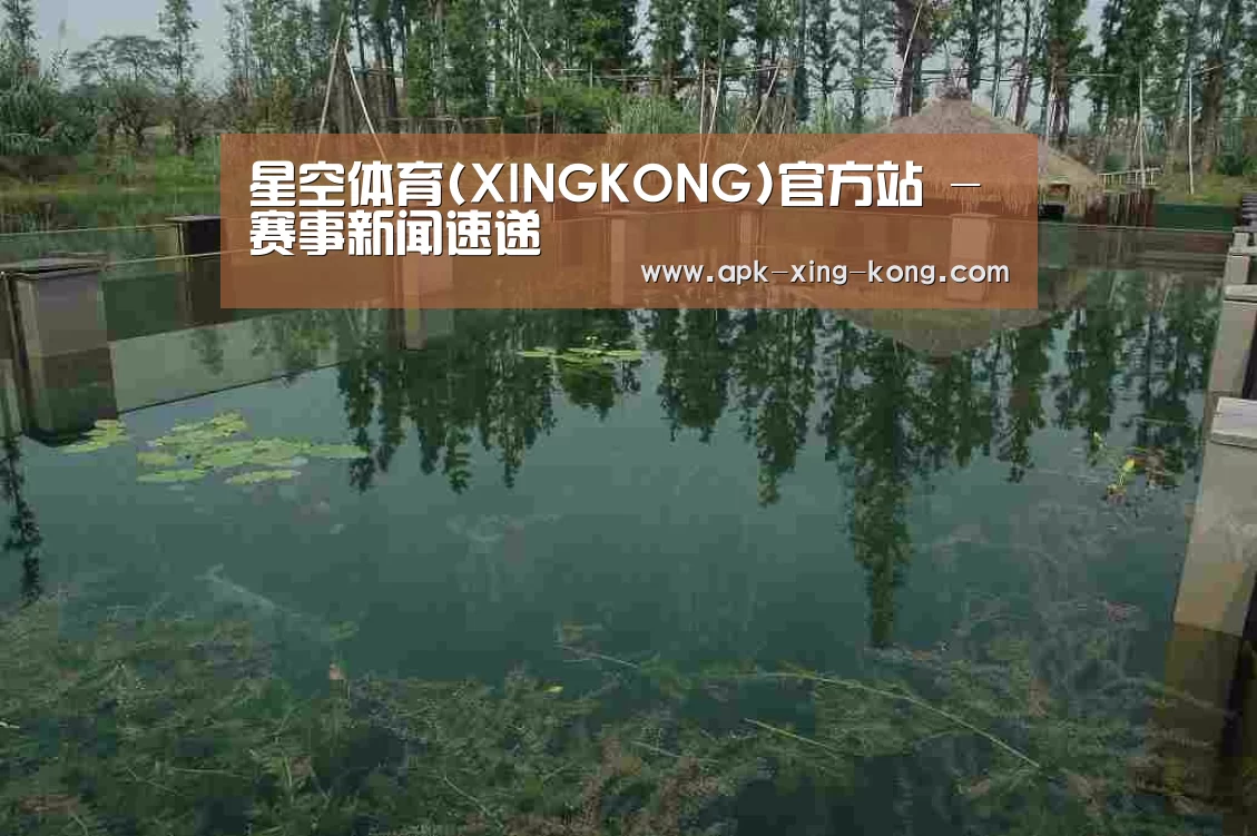 案例展示二