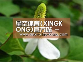 产品名称三